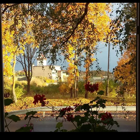 5 Krone View *